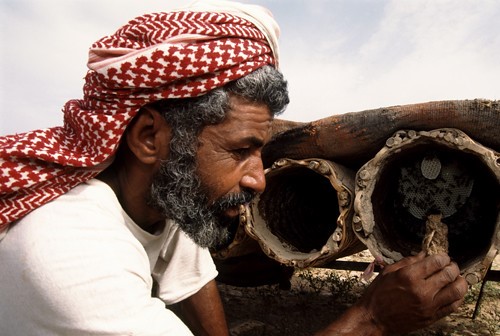 Yemeni Sidr Honey – A glimmer of gold in a dying light.