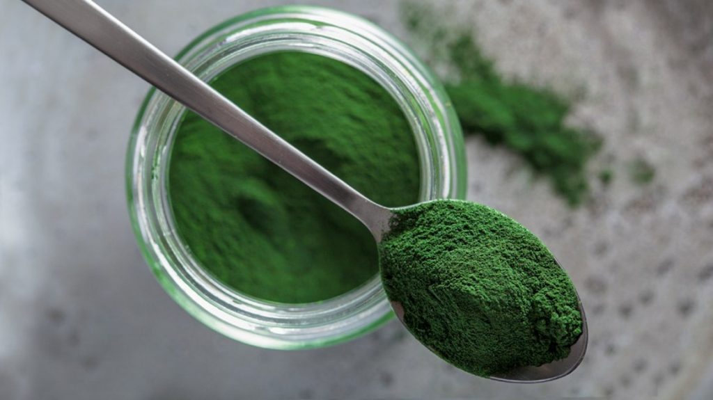 what is chlorella