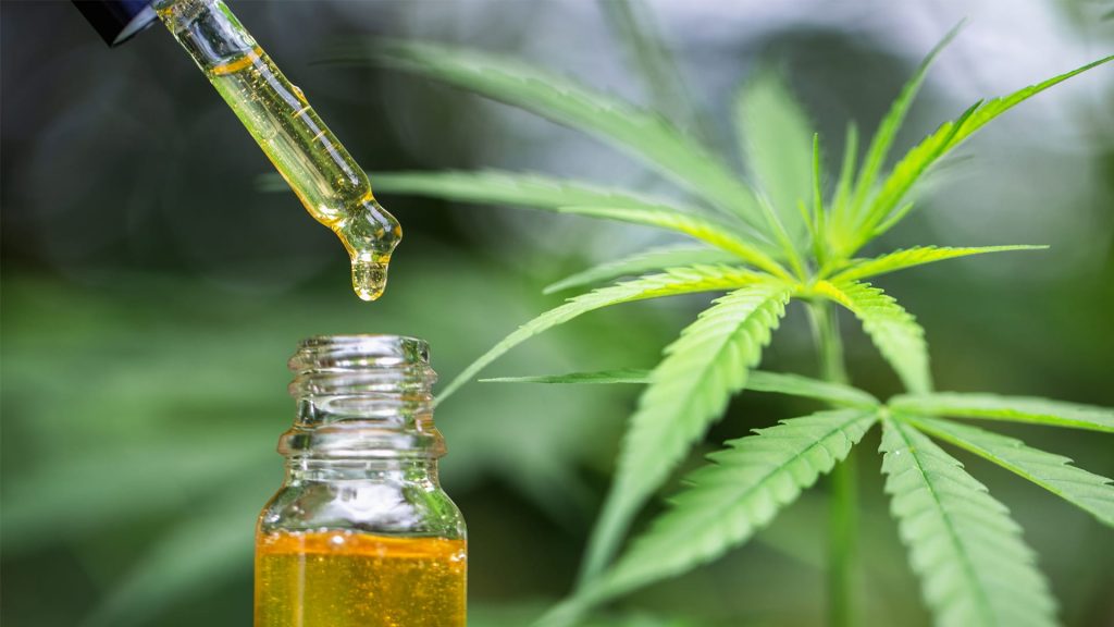 National CBD Day – 8th August 2020