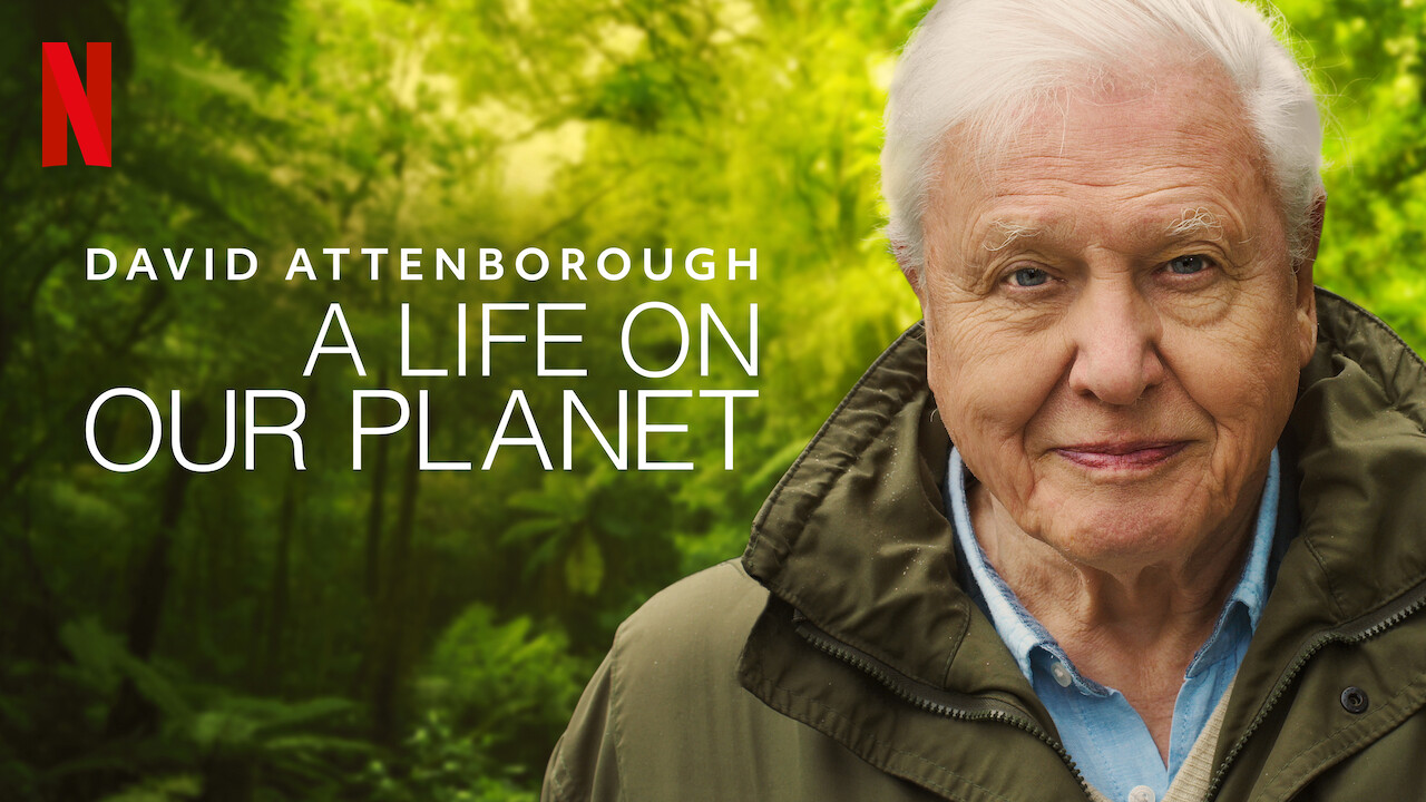David Attenborough, A Life On Our Planet available on netflix